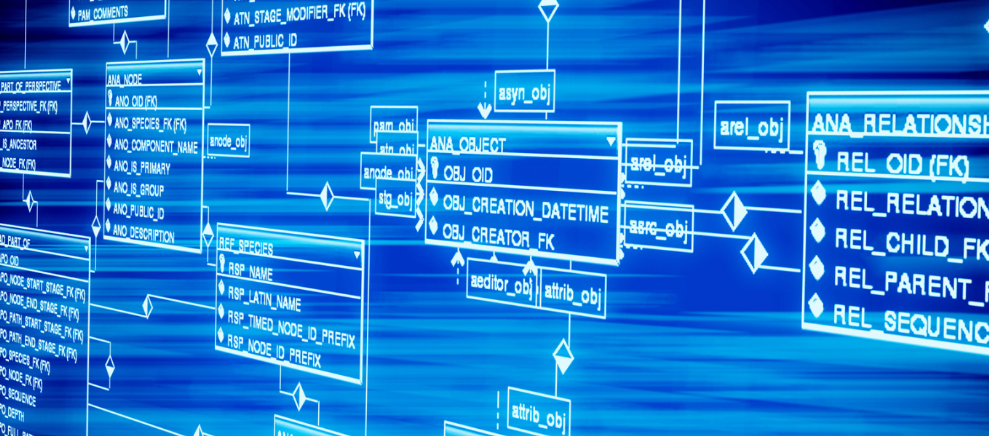 雙魚眼革命!佳能VR鏡頭顛覆行業,你的相機也能拍3D大片